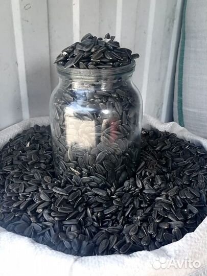 Продам вкусные семечки