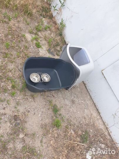 Кошачий туалет