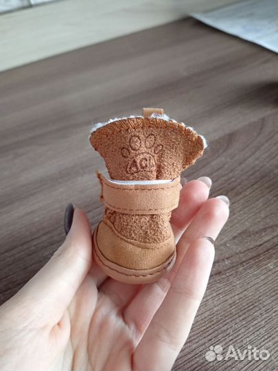 Новая, тёплая обувь для собак