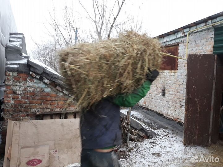 Солома в тюках в Незнамово