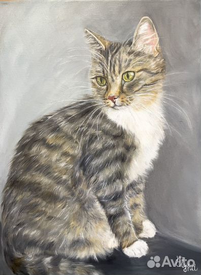 Портрет кошки, собаки на заказ