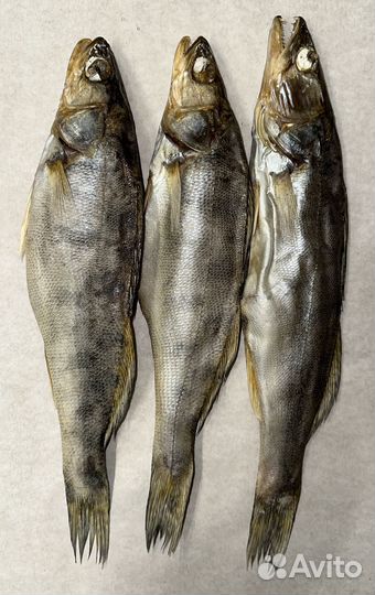 Судак вяленый