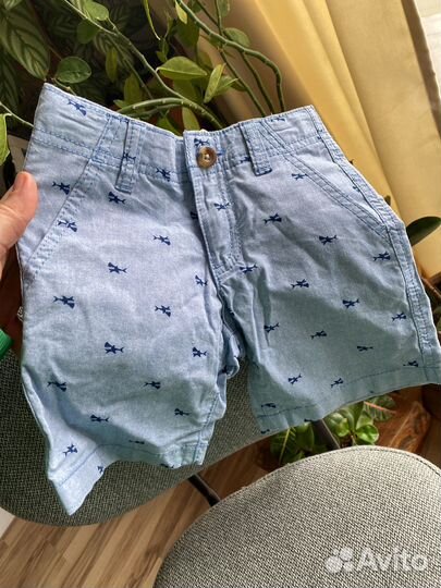 Шорты crazy8