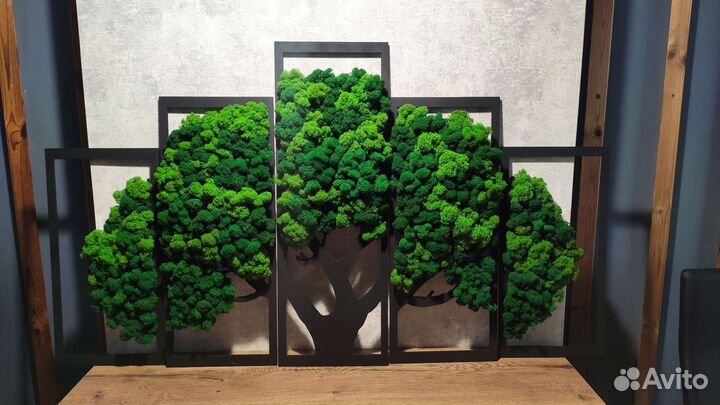 Картина стабилизированный мох Дерево жизни