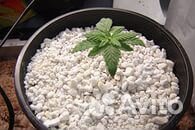 Агроперлит 2л, 5л, 10л