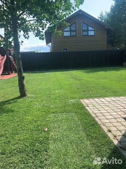 Рулонный газон от производителя