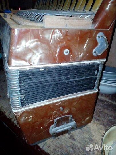 Аккордеон Танго