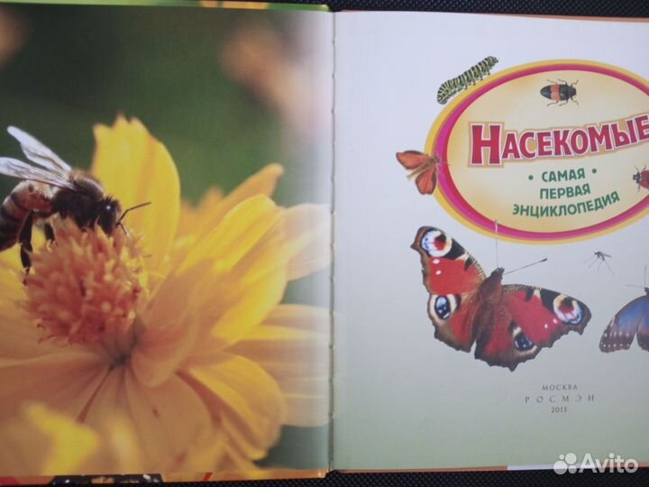 Набор книг самая первая энциклопедия