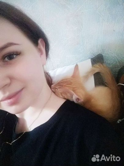 Передержка кошек/котов/котят