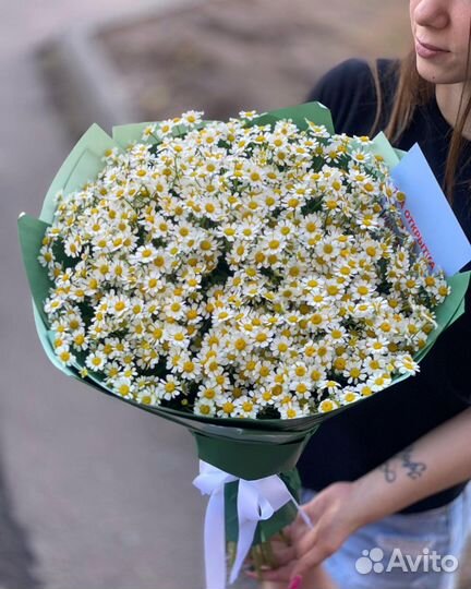 Букет из 25 веток Ромашек (Танацетум)