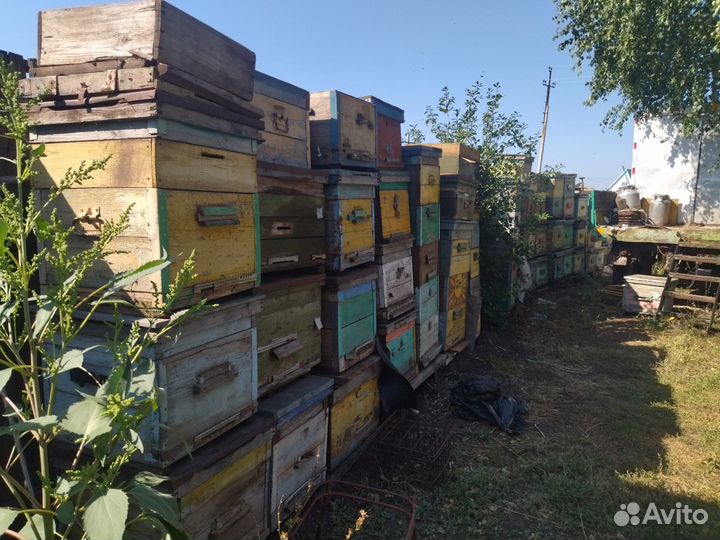 Улей для пчел