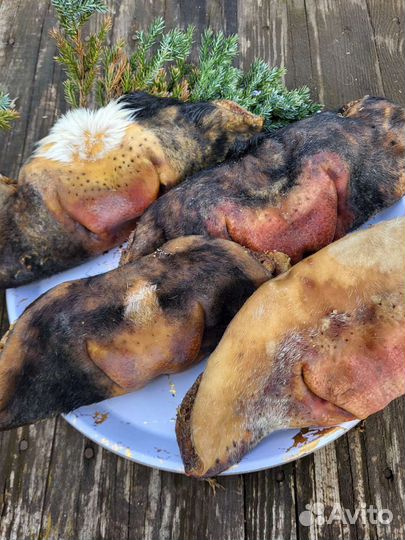 Лакомства для собак сушеные