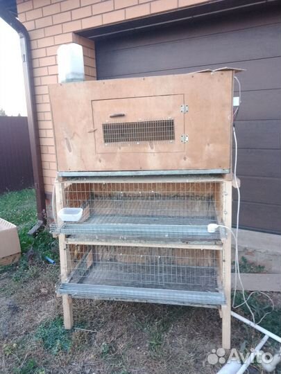 Клетки для перепелов бу