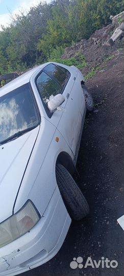 В разбор Ниссан Блюберд