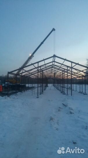 Реконструкция коровника, Строительство коровника