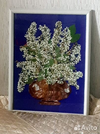 Букет черемухи-картина из сухих соцветий черемухи