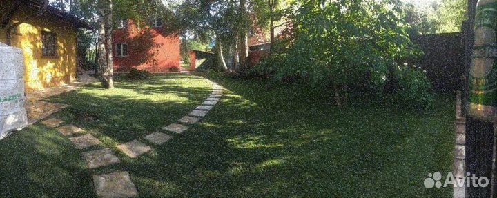 Укладка и продажа газона