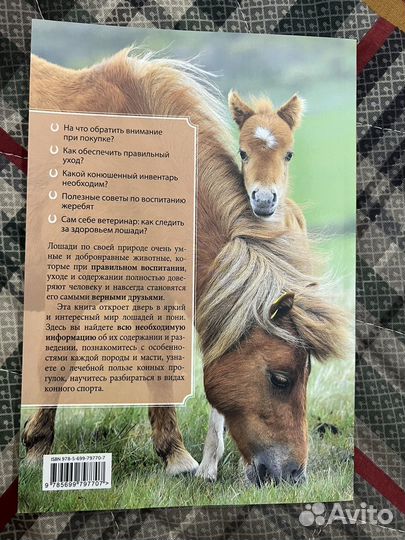 Лошади и пони. Книга