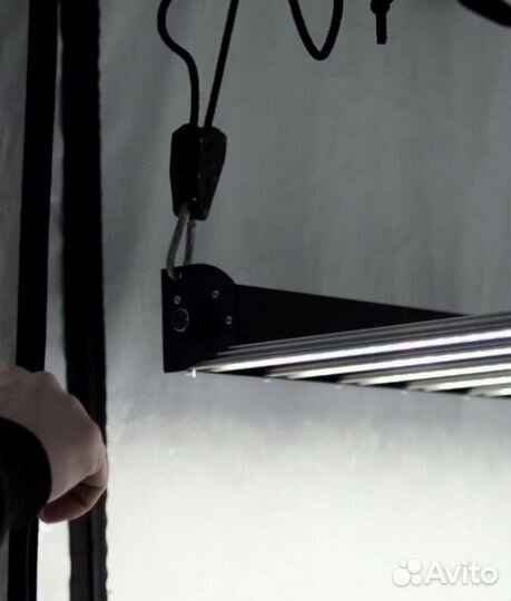 Big cock design Flasher 600w iruvs