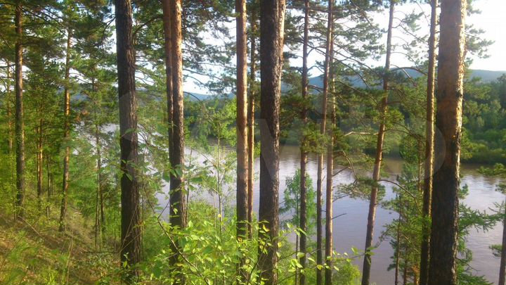 Участок 10 сот. (СНТ, ДНП)