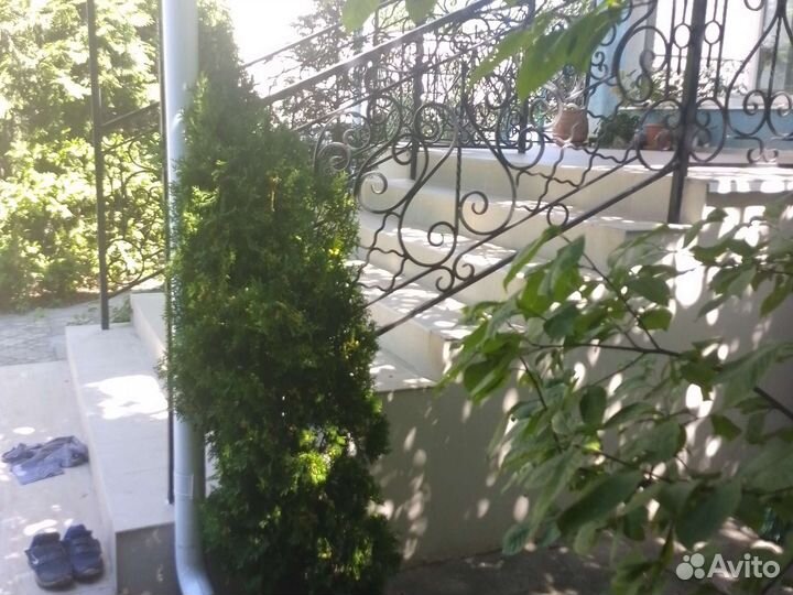 Ветки для декора