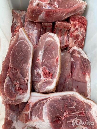 Мясо свинина