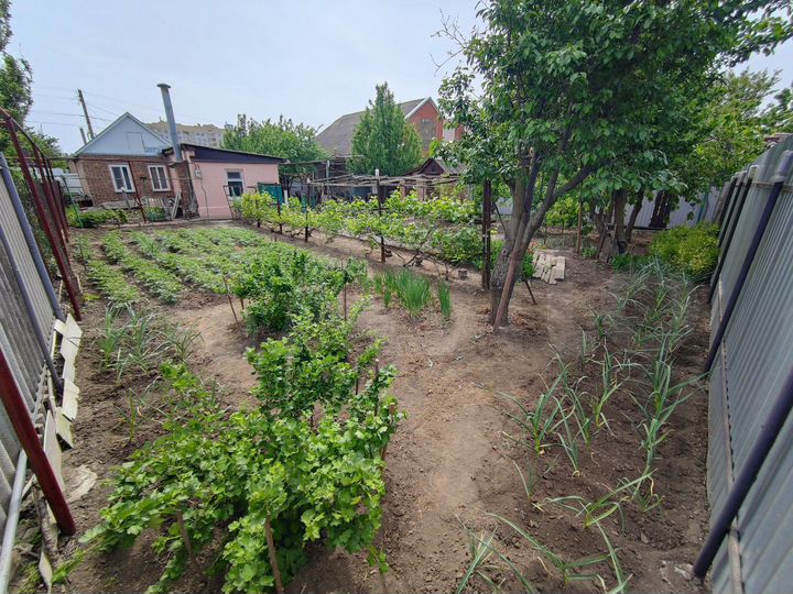 Дом 54 м² на участке 5 сот.