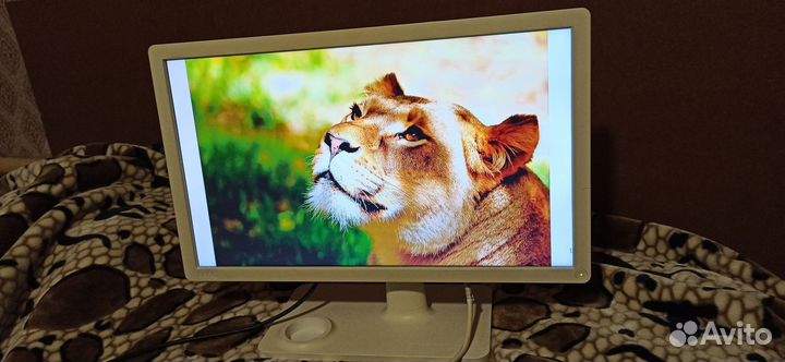 Монитор 22 дюйма hdmi