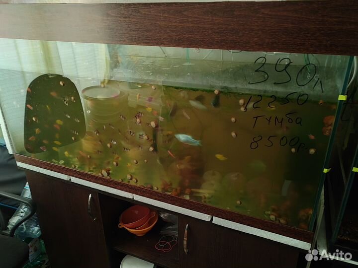 Аквариум с тумбой 390литров