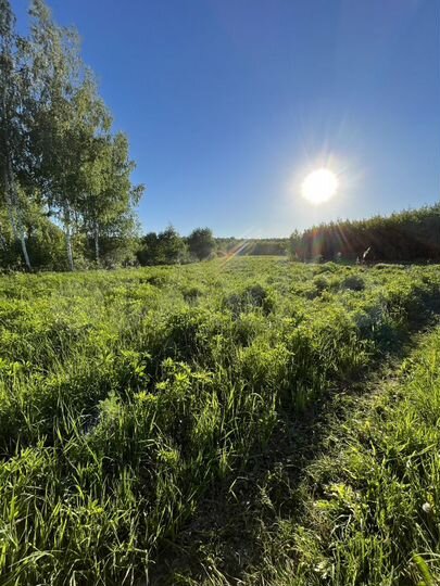 Участок 20 сот. (ИЖС)