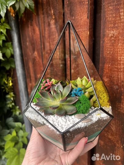 Флорариум с суккулентами