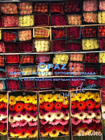 Цветы букеты последний звонок