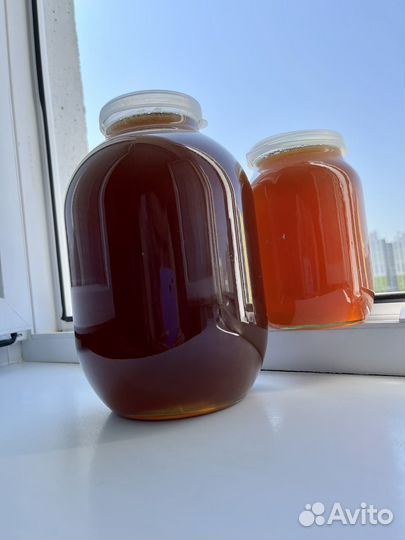 Мёд урожай 2023