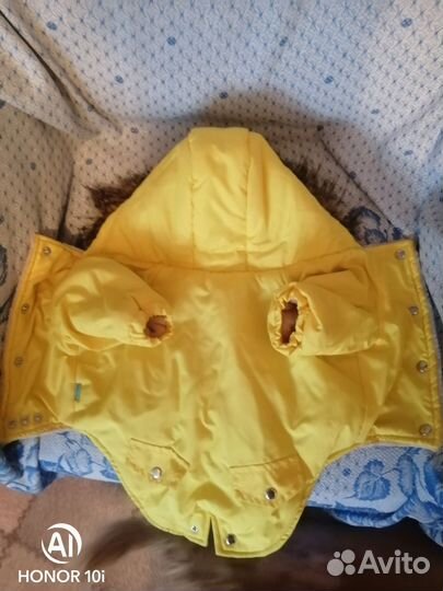 Одежда для собаки