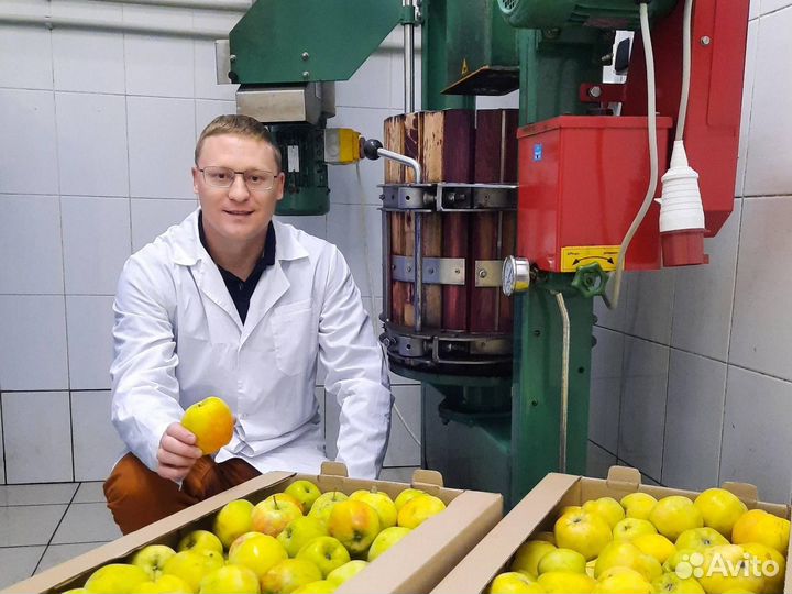 Разработка рецептур напитков, услуги технолога