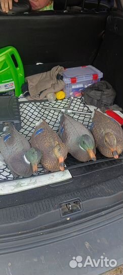 Подсадные пластиковые утки для охоты