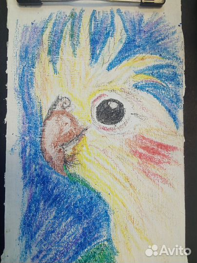 Зарисовки пастелью