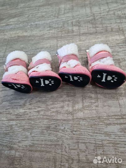 Обувь для маленьких собак