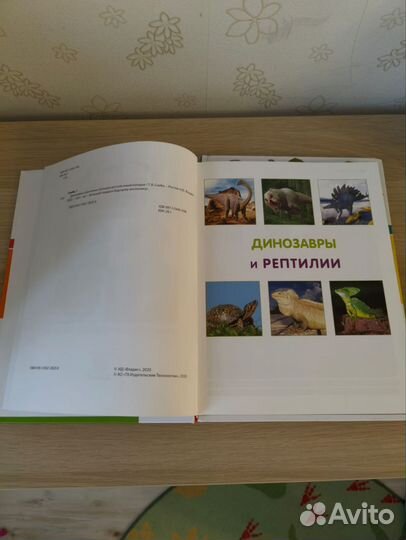 Книги энциклопедии детские