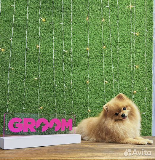 Груминг собак и кошек