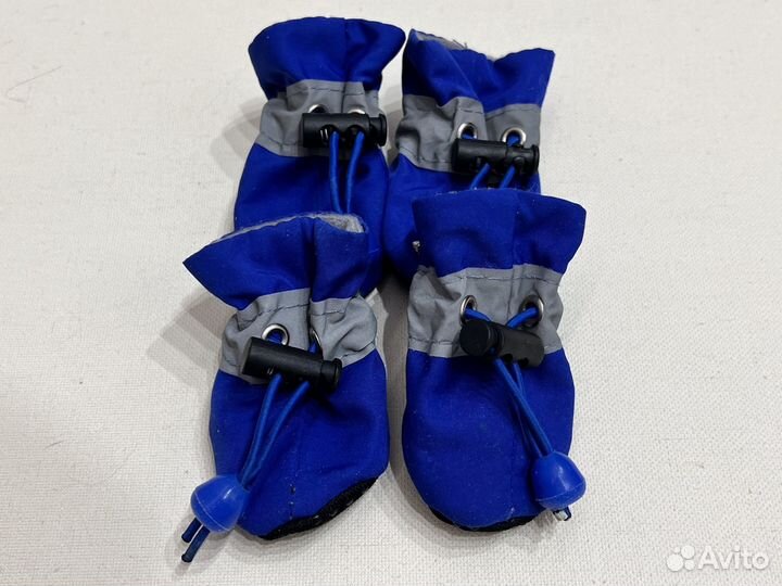 Ботинки для собак