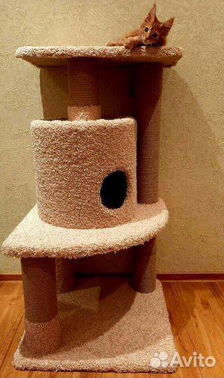 Когтеточки с домиком
