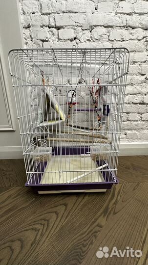 Клетка для попугая