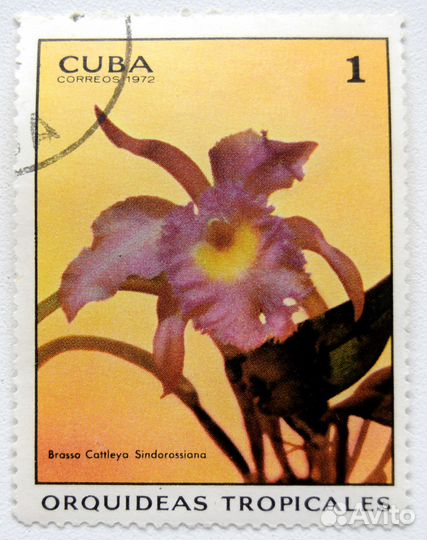 Серия марок Куба, 1972г., Флора, Цветы