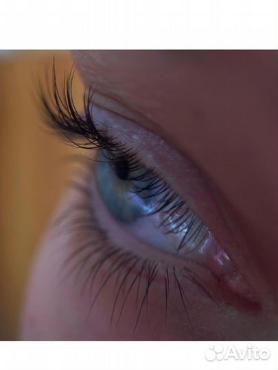 Работа мастер бровист