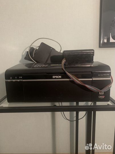 Принтер epson p50