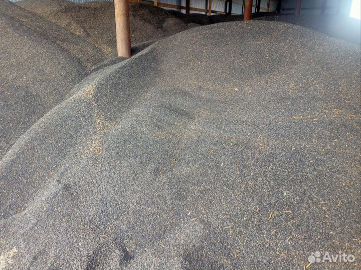 Подсолнечник