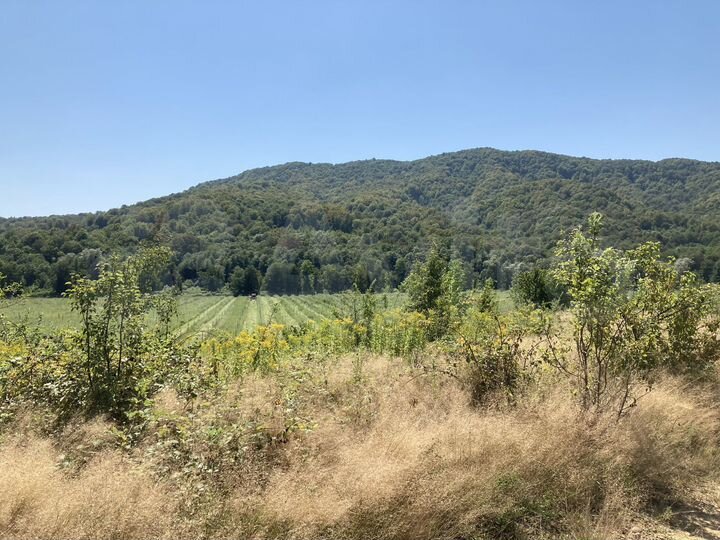 Участок 61 сот. (ИЖС)