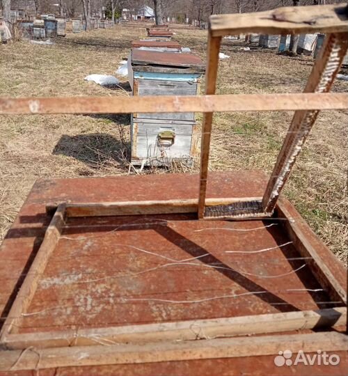 Улья пчелиные