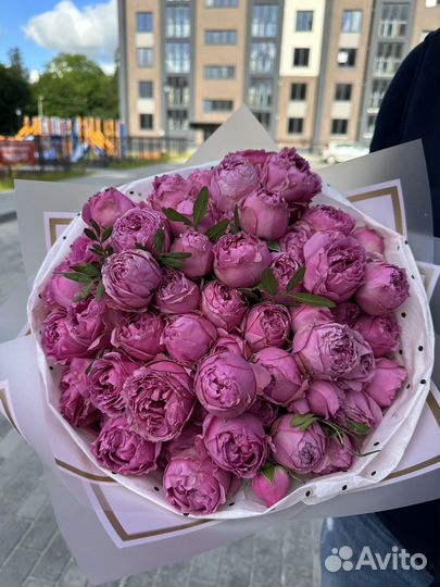 Шикарна пионовидная роза.Доставка